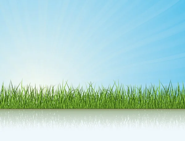 Πράσινο Γρασίδι Κάτω Από Φως Του Ήλιου Φύση Συλλογή Διάνυσμα — Διανυσματικό Αρχείο