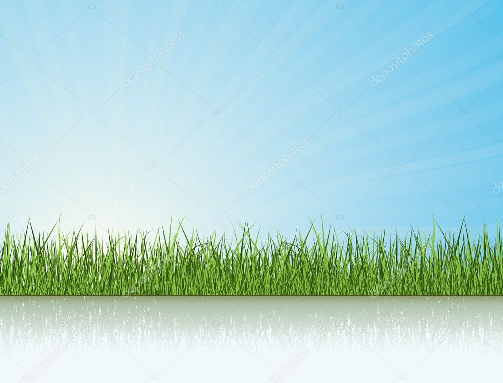 Green Grass Under The Sunlight. Nature Vector Collection.