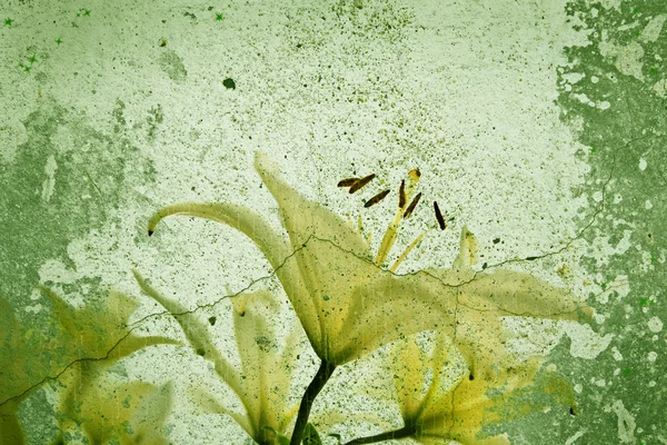 녹색 꽃들의 배경 — 스톡 사진