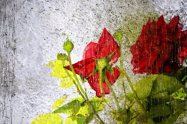 Grunge Floral Background Colección Fondo —  Fotos de Stock