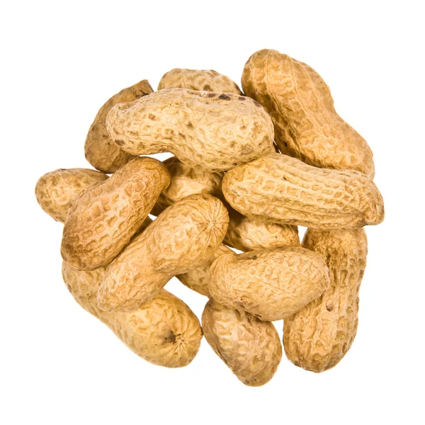 Erdnüsse isoliert — Stockfoto