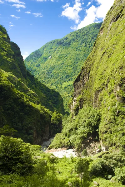 stock image Summer in Mountains