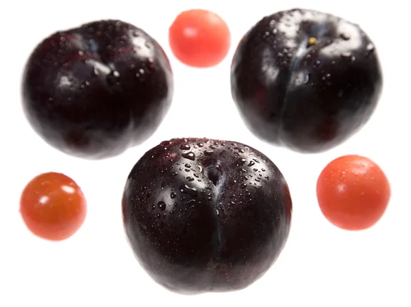 Prune et tomate — Photo