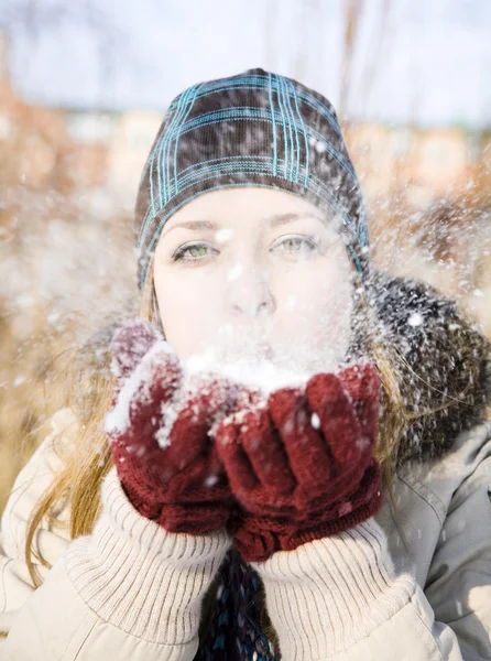 Blowing Snow — Stock Photo, Image