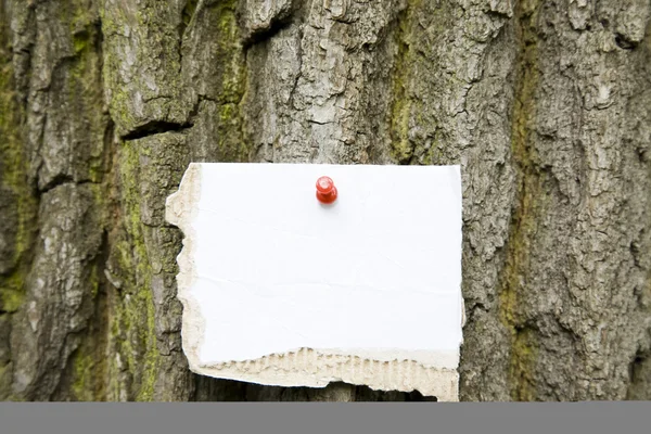 Картонная Заметка Дереве Ready Your Message — стоковое фото