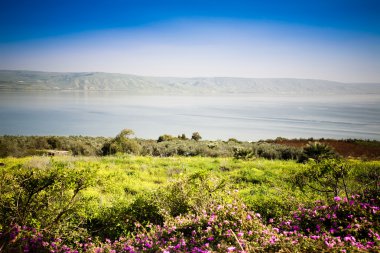 The Sea of Galilee clipart