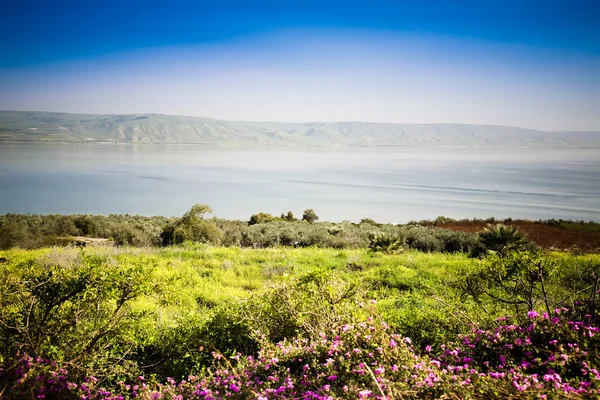 Das Meer von Galiläa — Stockfoto