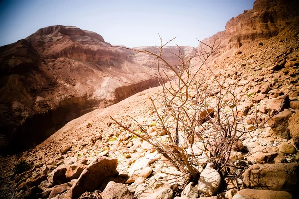 Έρημο και τα βουνά με κόκκινο χρώμα — Φωτογραφία Αρχείου