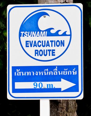 bir tsunami uyarı işareti