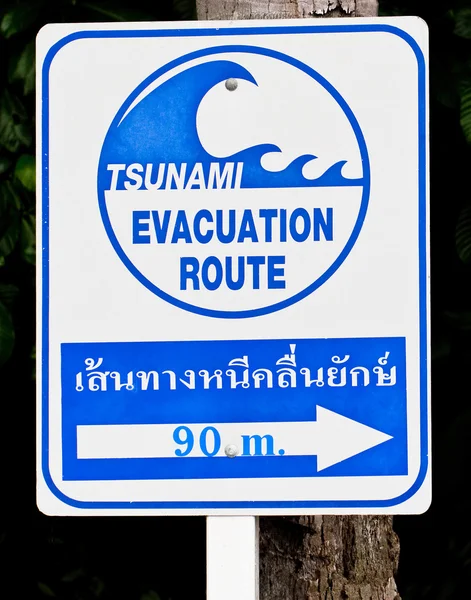 stock image A tsunami warning sign