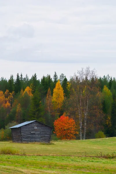 Herbstfarben Begleitet Von Alter Scheune — Stockfoto