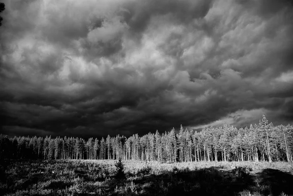 Tempestade a subir — Fotografia de Stock