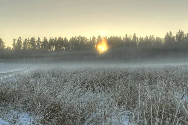 Naplemente Egy Téli Napon Gyönyörűen Csiszolt Mezői Előtér Fotó — Stock Fotó