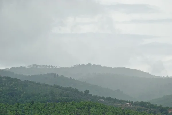 stock image Misty Valley