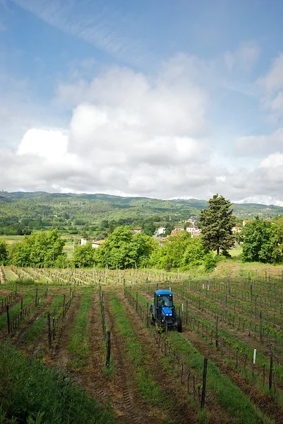 Vignoble Tracteur Toscane Italie — Photo