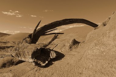 Wüstenskulptur