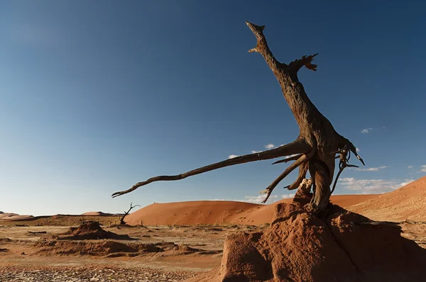 Wüstenskulptur — Fotografie, imagine de stoc