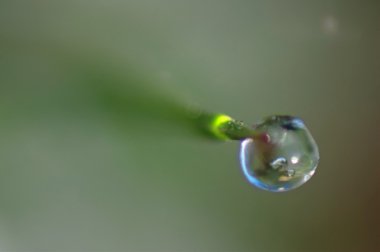 impressionen aus dem taunus den fruehlingsmonaten