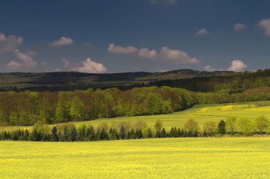 Fruehlingsfarben