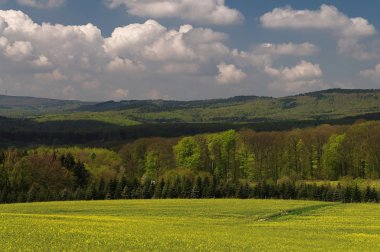 Fruehlingsfarben