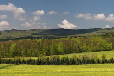 Fruehlingsfarben