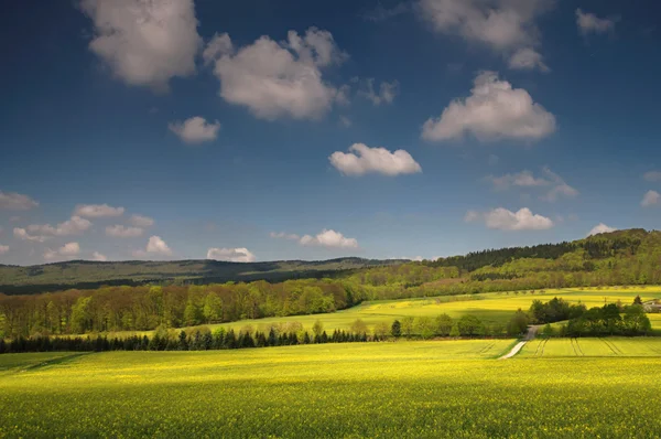 stock image Impressionen aus dem Taunus in den Fruehlingsmonaten