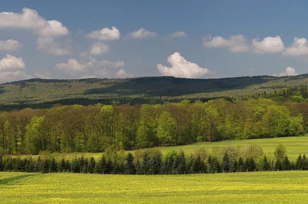 stock image Fruehlingsfarben