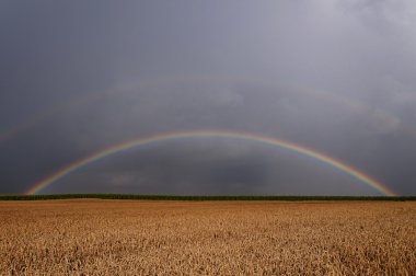 Sommerfarben