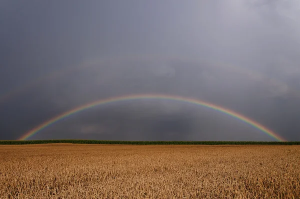 stock image Sommerfarben