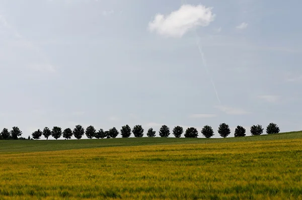 stock image Impressionen aus dem Taunus in den Sommermonaten