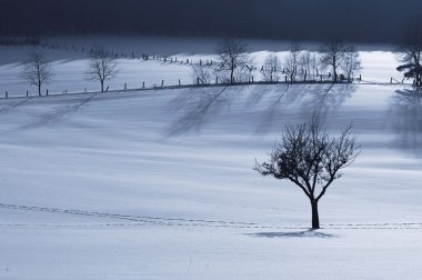 Winterfarben