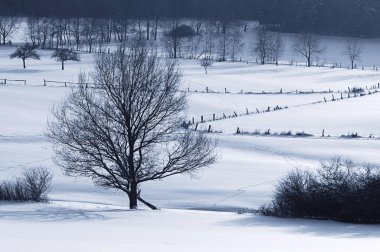 Winterfarben