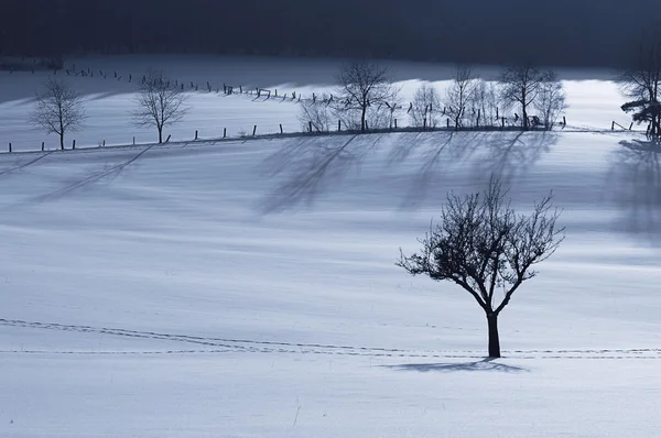 stock image Winterfarben