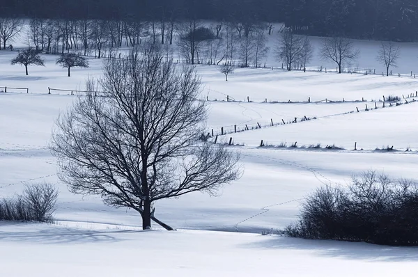 stock image Winterfarben