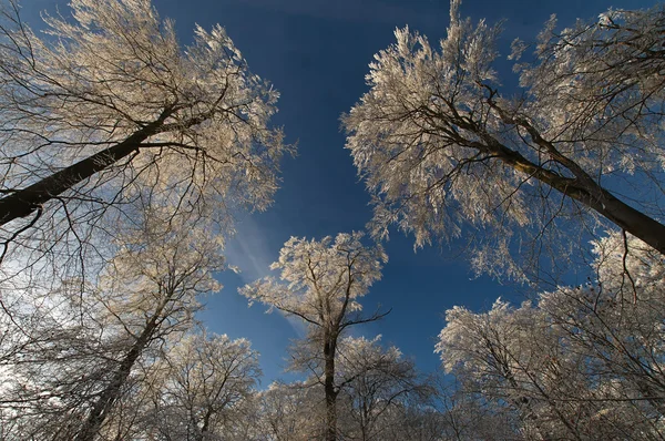 stock image Winterfarben