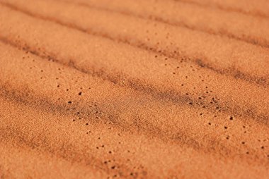 Bug tracks on red sand in the desert clipart