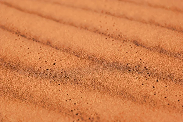 stock image Bug tracks on red sand in the desert