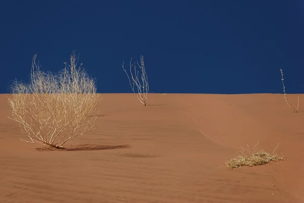 Paysage désertique — Photo