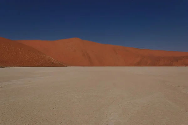 Мертві Vlei - ландшафт і кольори — стокове фото