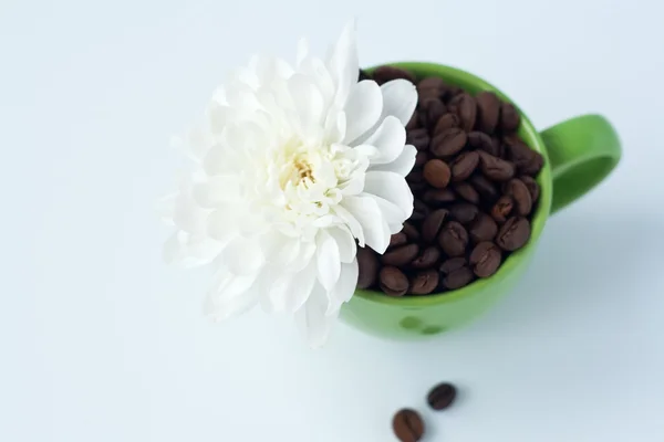 Witte bloem in een beker met koffiebonen — Stockfoto