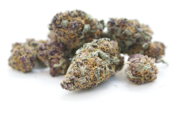 Medizinisches Marihuana lizenzfreie Stockbilder