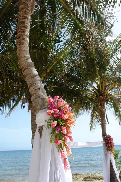 Trópusi esküvő — Stock Fotó