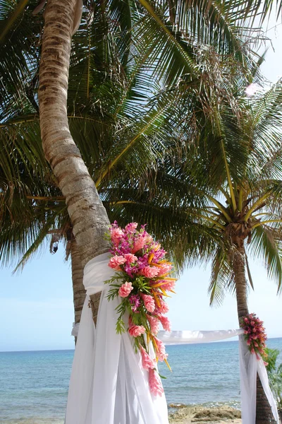 Tropisk bryllup Stock-foto