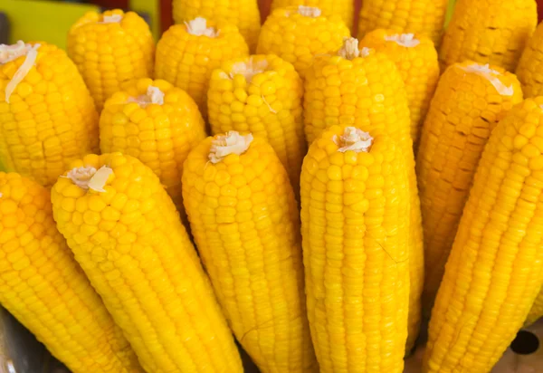 Hierve el maíz — Foto de Stock