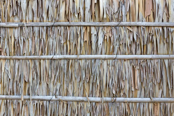 Textura da parede da folha de palma — Fotografia de Stock