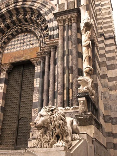 Stone Lion Stands Guard Cathedral Lorenzo — Stock Photo, Image
