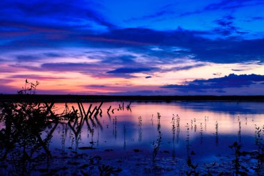 A purple sunset from a lake shore in Bali clipart