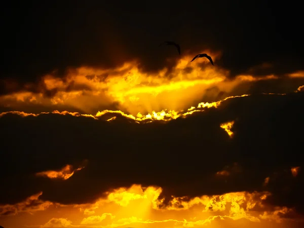 Адское небо — стоковое фото