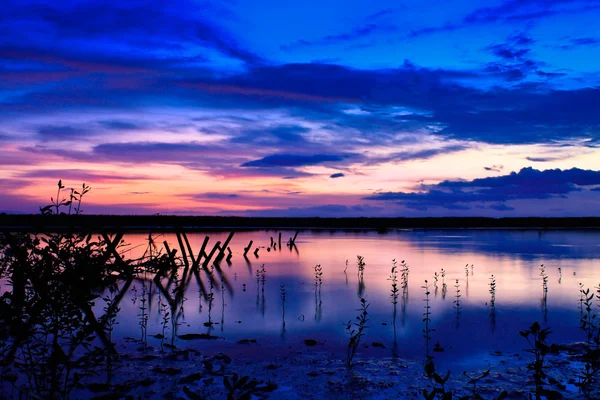 Фиолетовый Закат Берега Озера Бали — стоковое фото