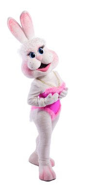 Güzellik tavşan kız maskot kostümü izole bir meme almak